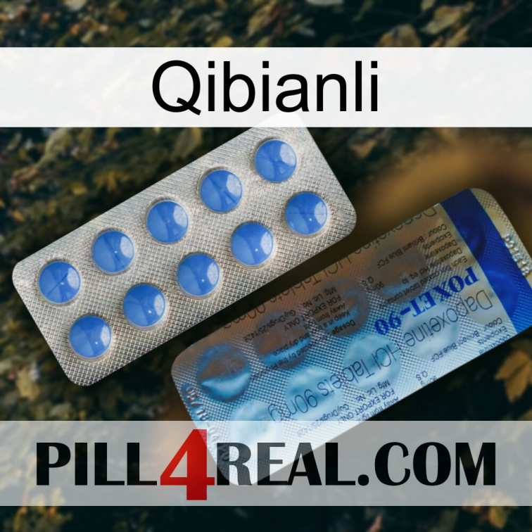 Qibianli 40